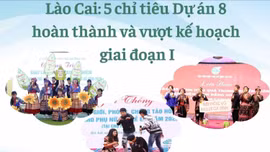 Lào Cai: 5 chỉ tiêu Dự án 8 hoàn thành và vượt kế hoạch giai đoạn I