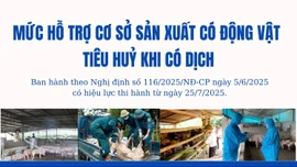Mức hỗ trợ cơ sở sản xuất có động vật tiêu huỷ khi có dịch