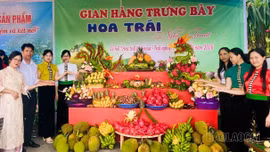 Cùng nông dân kiến tạo giá trị mới từ nông nghiệp