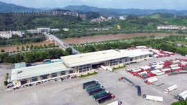Tín hiệu vui ở cửa khẩu Lào Cai