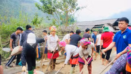 Các địa phương trong tỉnh đồng loạt phát động phong trào làm đường giao thông nông thôn năm 2026