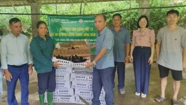 Hỗ trợ giống và vật tư cho mô hình chăn nuôi gà đạt chuẩn VietGAHP