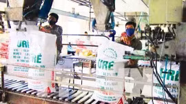 Chủ động nguồn cung, bình ổn giá phân bón