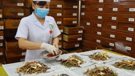 Vị thuốc cổ truyền phải công bố tiêu chuẩn chất lượng trước khi lưu hành