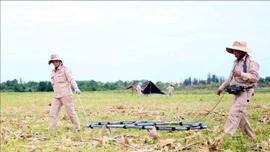 Bỉ hỗ trợ Việt Nam khắc phục hậu quả chất độc da cam