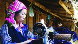 Nâng cao kỹ năng số cho cán bộ, người dân qua phong trào 'Bình dân học vụ số'