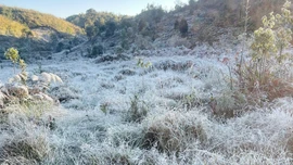 Băng giá xuất hiện tại vùng cao Y Tý