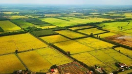 Đề xuất quy định hướng dẫn việc kéo dài thời hạn miễn thuế sử dụng đất nông nghiệp