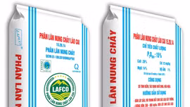 LAFCO: Từ lợi thế apatit đến động lực phát triển kinh tế địa phương Lào Cai