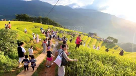Lào Cai: Kinh tế tăng trưởng ổn định, cơ cấu chuyển dịch tích cực