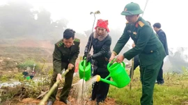 Xã Bản Xèo phát động Tết trồng cây “Đời đời nhớ ơn Bác Hồ”