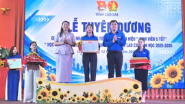 Lào Cai có 26 nhà giáo trẻ tiêu biểu và 119 “Học sinh 3 tốt” cấp tỉnh