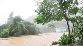 Chủ động ứng phó với siêu bão Ragasa