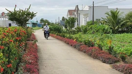 Khởi sắc nông thôn mới góp phần giảm nghèo bền vững