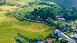 Phấn đấu 'mục tiêu kép' xây dựng nông thôn mới gắn với giảm nghèo bền vững