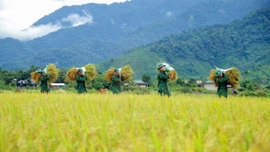 Các tổ chức quần chúng BĐBP góp sức giảm nghèo bền vững nơi biên giới, hải đảo