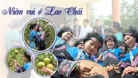 Niềm vui ở Lao Chải