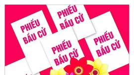 Quyền bầu cử là gì? Quyền ứng cử là gì?