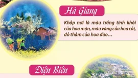 Những điểm đến hấp dẫn cho hành trình du xuân ngắm hoa nở