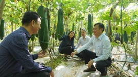 Động lực cho đổi mới sáng tạo