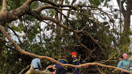 Chủ tịch UBND tỉnh chỉ đạo khẩn trương khắc phục hậu quả thiệt hại do mưa kèm theo dông lốc