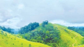 Trên đỉnh đồi Tà Năng