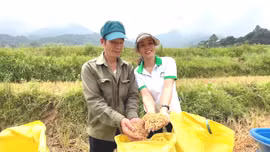 “Hạt nhân” sáng tạo trong kinh tế tập thể 