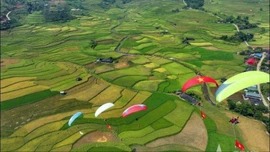Xanh những giấc mơ đồng quê