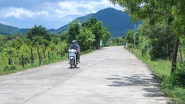 Tăng thu nhập, giảm nghèo bền vững ở vùng đồng bào dân tộc thiểu số