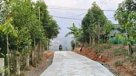 Sơn Lương mở đường, khơi thông không gian phát triển vùng cao