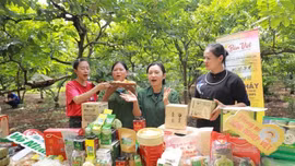 Từ hôm nay (1/7/2026), bán hàng online không thể ẩn danh: Người bán cần làm gì?