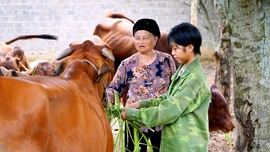 Bảo Yên: Lan tỏa ý chí, nghị lực thoát nghèo