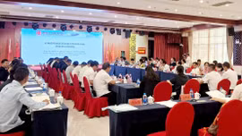 Lào Cai tham dự hội thảo hợp tác kiểm soát các bệnh nhiệt đới xuyên biên giới Trung Quốc - Việt Nam