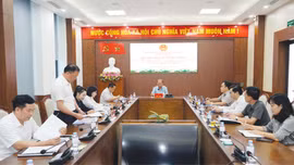 Họp Đoàn giám sát chuyên đề thực hiện chính sách, pháp luật về điện lực và công trình năng lượng trên địa bàn tỉnh 