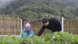 "Ngày thứ Bảy cùng dân"