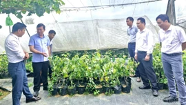 Đoàn công tác Sở Dân tộc và Tôn giáo làm việc với UBND xã Y Tý