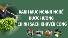 Danh mục ngành nghề được hưởng chính sách khuyến công