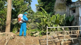 Phòng, chống bệnh truyền nhiễm do vi rút Chikungunya gây ra