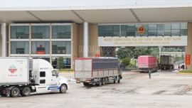 Xuất khẩu gần 50 nghìn tấn quả vải tươi sang thị trường Trung Quốc qua Cửa khẩu Lào Cai