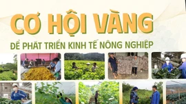 Cơ hội vàng để phát triển kinh tế nông nghiệp 