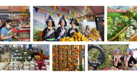 Thúc đẩy thương mại miền núi, vùng sâu, vùng xa và hải đảo, hướng tới phát triển bền vững