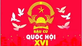 Người ứng cử đại biểu Quốc hội, đại biểu Hội đồng nhân dân có thể là thành viên của các tổ chức phụ trách bầu cử không?