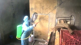 Gần 8.400 hộ dân được xử lý nguồn nước, khử khuẩn môi trường