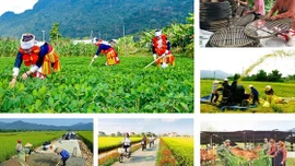 Kế hoạch tổng kết Chương trình mục tiêu quốc gia xây dựng nông thôn mới giai đoạn 2021 - 2025