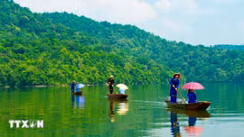 Việt Nam nhận gần 1.900 tỷ đồng từ Quỹ khí hậu xanh cho dự án giảm phát thải rừng