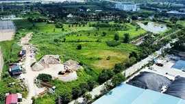 Lập đường dây nóng tiếp nhận thông tin về vi phạm đất đai