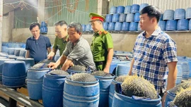 Tiêu hủy hơn 3 tấn giá ngâm ủ hóa chất độc hại