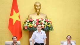 Phát huy trí tuệ và trách nhiệm cao nhất đối với cử tri và đất nước