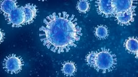 Đức ghi nhận một ca nhiễm virus Borna hiếm gặp, đặc biệt nguy hiểm