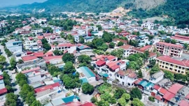 Mùa xuân đầu tiên sau sáp nhập trên quê hương Bảo Thắng